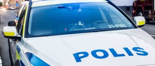 Polisen jagade i kapp tjuv