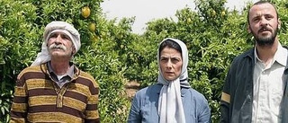 Angelägen film om Palestinakonflikten