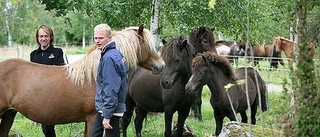 Islandshästarna intar Altuna-Säva