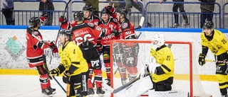 19.00: Se Piteå HC:s avgörande match i Allettan