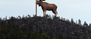 Trögt att få in pengar till storälgen