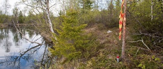 Skogsstyrelsen överklagar Änok-dom