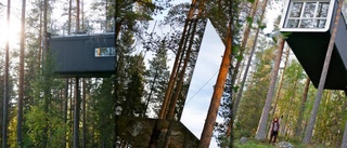 Treehotel ska säljas