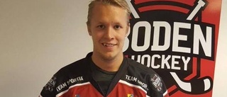 Boden Hockey värvar Kalix nyckelspelare