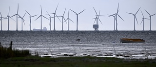 Länsstyrelsen: Grönt ljus för Triton vindpark