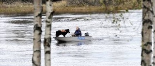 Inga dykningar efter försvunnen Råneåbo