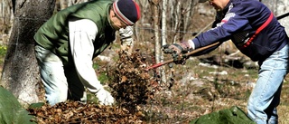 Stuprörstänk sparar inga pengar