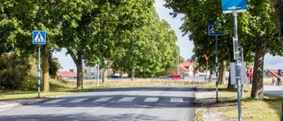 Skyddade träd står i vägen för trafiklösning