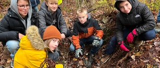 Elevernas ovanliga fynd i skogen – en bunker från kriget: "Syns tydligt att det varit åverkan"