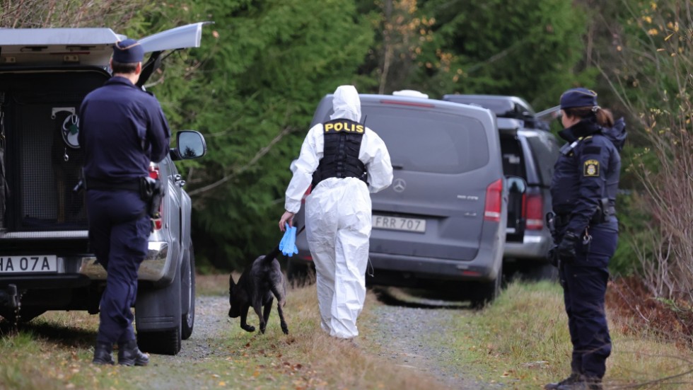 Tove misstänks ha mördats i en lägenhet i Vetlanda under natten till den 17 oktober. Hon hittades död i ett skogsparti. 