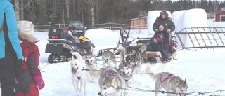 Ukrainska familjer provade hundspann i sträng kyla