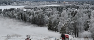 Läsarbilden: Hjälp på traven  