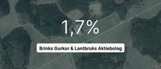 Årsredovisningen klar: Så gick det för Brinks Gurkor