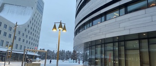 Stadshuset töms när torget spärras av: "Det är jobb hemifrån som gäller under besöket"