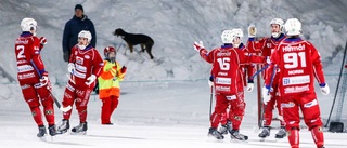 Rysk stjärna till Kalix Bandy: "Förstklassig"