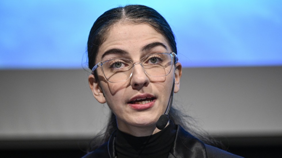 Klimat- och miljöminister Romina Pourmokhtari (L) håller med om att regeringen måste göra mer för att minska utsläppen.
