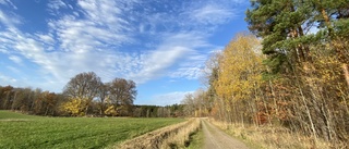 Kommunen och Baroniet i jätteaffär • Planerar ny stadsdel • Hundratals nya tomter • Nära tåg och väg 35