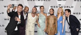 "Westworld" uppges gå i graven