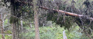 Alert: Storm-stricken nature reserves may be unsafe