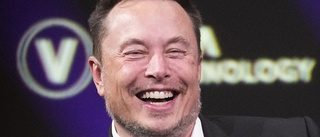 Tesla vinnare när Wall Street lyfte