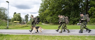 Mitt i våldsvågen – militären övar med lös ammunition