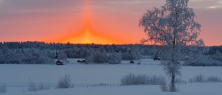 Läsarbilden: Solen sänker sig 