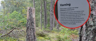 Larmet: Gå inte in i naturreservatet