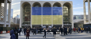 The Met beställer verk om ukrainska mödrar