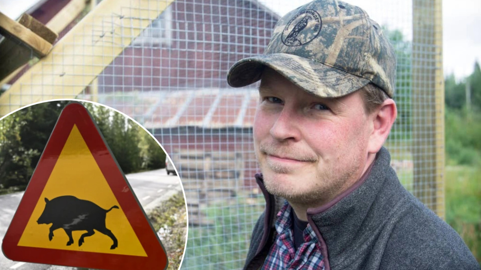 Björn Granqvist på Nationella viltolycksrådet