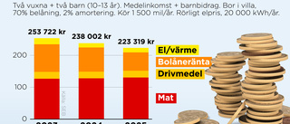 Äntligen ljusnar det för hushållen