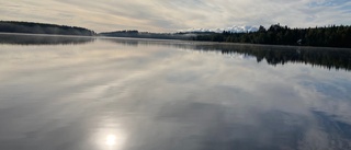 Läsarbilden: Lugnet före stormen