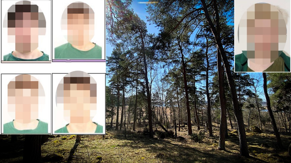 De fyra bröderna och Enköpingsflickan har dömts för mordet  på 26-åringen i Hjälstaviken. Flickan och en av bröderna dömdes för medhjälp, vilket åklagarna nu har överklagat.