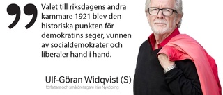 Debattkrönika: ”Rädda det socialliberala Sverige”