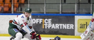 Bildextra: Frölunda till final