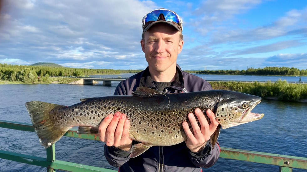 David Flinkfelt, Mora, visar att det fortfarande simmar stor öring i Arjeplogsströmmarna. Den här pjäsen på 5,33 kilo fick han på flytwobbler den 28 juli.
