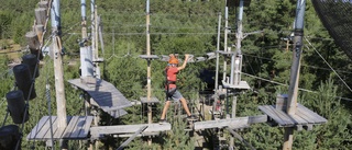 Vimmerby Adventure går starkt framåt • Så många har besökt parken i sommar • Ägaren: "Själv är jag höjdrädd"