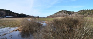 Beskedet: Den stora vindkraftsparken kan stoppas