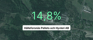 Ökad omsättning för Hälleforsnäs Pellets och hyvleri