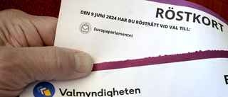 Tycker du demokrati är bra? Se då till att rösta!