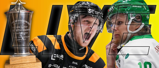 Skellefteå AIK föll i andra finalmatchen