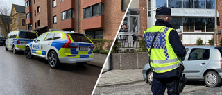 Resultatet av polisens jätteinsats: 550 kilo mat beslagtaget