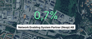 Årsredovisningen klar: Så gick det för Network Enabling