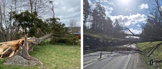 Stormstyrkor har uppmätts • SMHI: "Bättre att hålla sig inne"