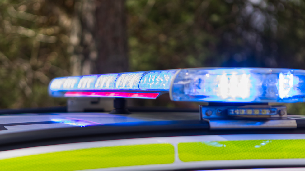 Polisen fick rycka ut till en bostad efter att två kvinnor börjat slåss. Den ena fick uppsöka sjukhus efter att ha bivit biten i örat.