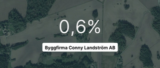 Brant intäktsfall för Byggfirma Conny Landström AB - ner 25,5 procent