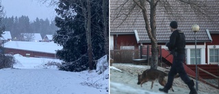 Efter sprängningen – därför glesas det ut vid gångbanan