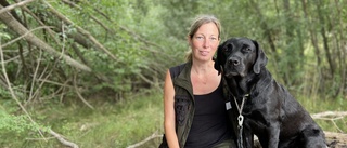 Hunden Bizzie vann Nose Work – "ett grisöra och en skiva köttfärslimpa" som pris