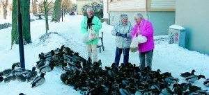 De värnar om Storåns änder