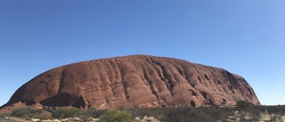 "Australiens hjärta" stängs efter virusoro