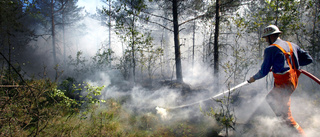 Pandemin synliggör klimatkrisen